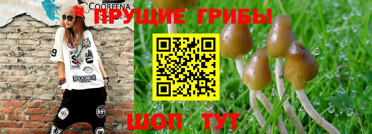 Псилоцибиновые грибы Psilocybine cubensis  Вход с VPN  Жуковский  Галлюциногенные грибы мухоморы 